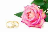  rings and rose 
