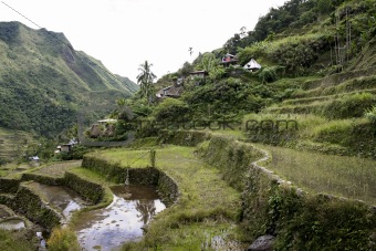 ifugao rice terraces batad