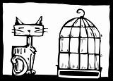 Cat and Birdcage