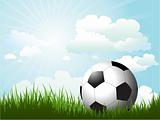 Football in grass 
