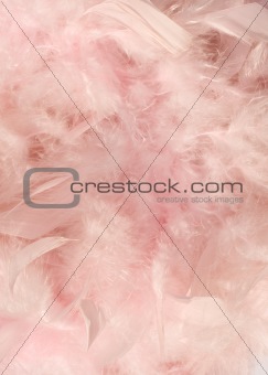 Baby pink fluffy feather background