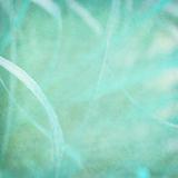 Misty blue grass abstract