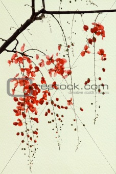 Branch of Red Blossom on Handmade Paper