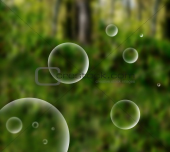 abstract bubble in nature