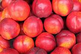 Lots of Nectarines