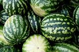 Fresh water-melons