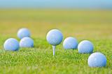 golf ball on tee surrounded by other golf balls out of focus