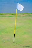 three golf balls on the putting green surrounding hole with a flag