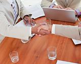 Close-up of Business people shaking hands