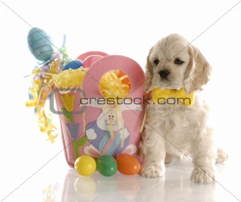 easter puppy