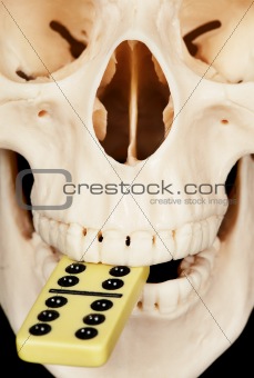 Human skull and dominoes