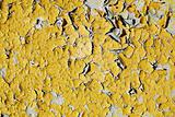 Texture of old wall with peeling yellow paint