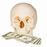 Skull devours money, isolated on white