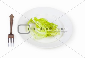Green salad on a plate