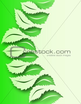 Leaf to leaf
