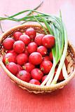 Wicker basket with fresh radish and onion