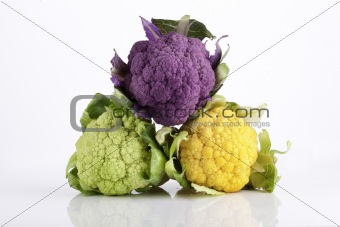Colorful Cauliflowers