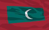 Vector flag of Maldives