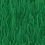 Abstract background of green grass