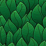 Abstract background of green leaf