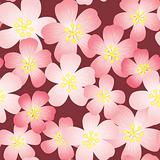 Abstract cherry-flowers background