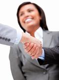 Cheerful businesswoman looking at her partners shaking hands