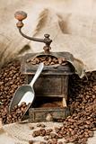 Old coffee grinder with coffee beans