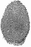 Fingerprint - My