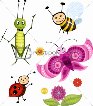 insect set