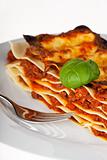 lasagna noodle dish on a white plate