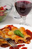 traditional cannelloni pasta dish with tomato sauce