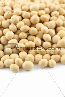 Close up of soy beans