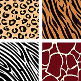 Animal pattern - tiger, zebra, giraffe, leopard