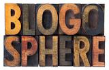blogosphere - vintage wood letterpress types