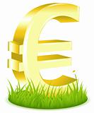 Euro Sign On Grass