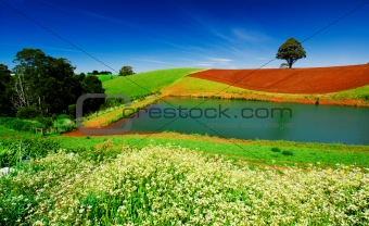 Field of Colour