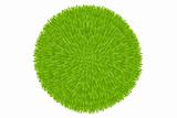 Green Grass Ball 