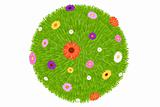 Grass Ball With Colourful Flowers
