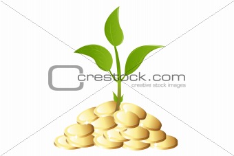 Green Young plant with money