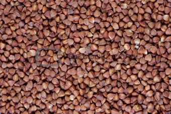  buckwheat groats
