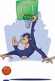 Monkey playing Basketball