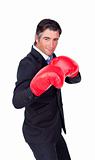 Portrait of a confident businessman wearing boxing gloves isolated on a white background