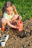 Little girl planting tomato seedlings