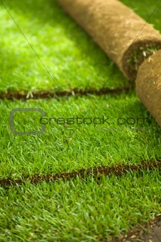 Turf grass rolls partially unrolled