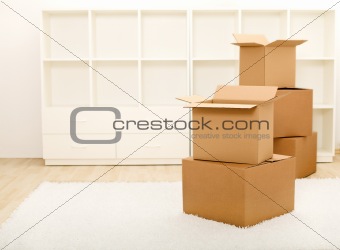 Boxes in front of empty shelves - moving concept