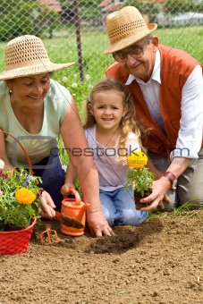 Grandparents teaching little girl the ways of gardening