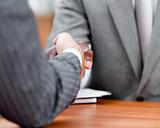 Close-up of a handshake between two differents businessmen
