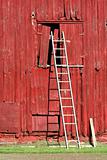 Ladder on a red barn