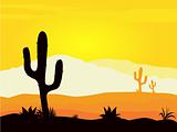 Mexico desert sunset with cactus plants silhouette and mountains