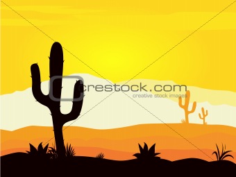 Mexico desert sunset with cactus plants silhouette and mountains